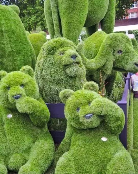 刚出的群主相册,有群的都看看,太美了,这一辈子见一次值了!