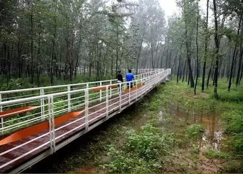 北京各区16处免费森林公园,北京最新40个公园