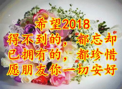 刚出的群主相册,有群的都看看,太美了,这一辈子见一次值了!