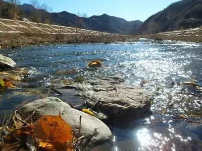 北京各区16处免费森林公园,北京最新40个公园