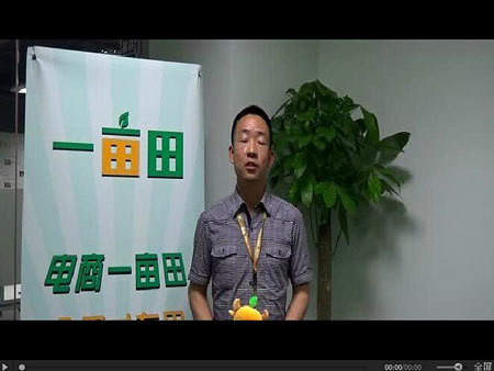 种植大户一亩田收入,种植一亩地收入45万元