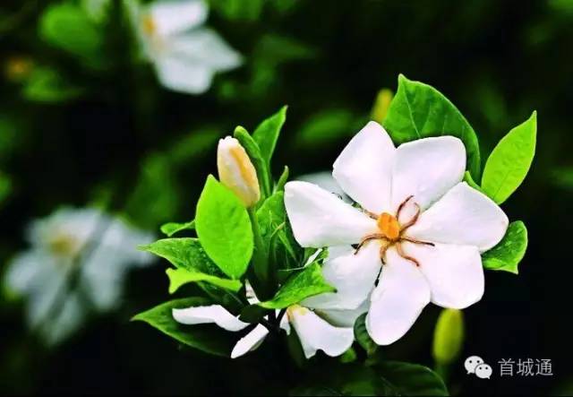 相约南溪古城夜景,相约南溪