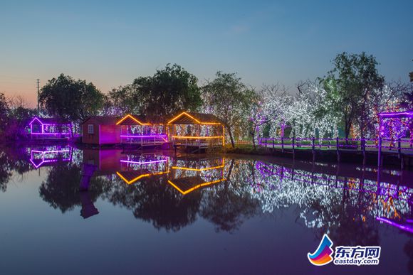 上海崇明岛薰衣草几月开,崇明薰衣草节旅游攻略