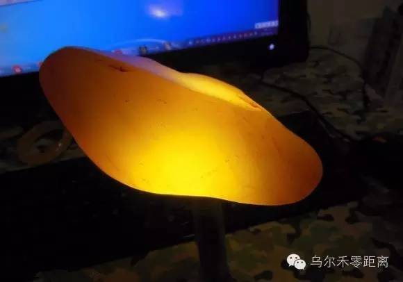 金丝玉是怎样的,金丝玉到底有没有价值啊