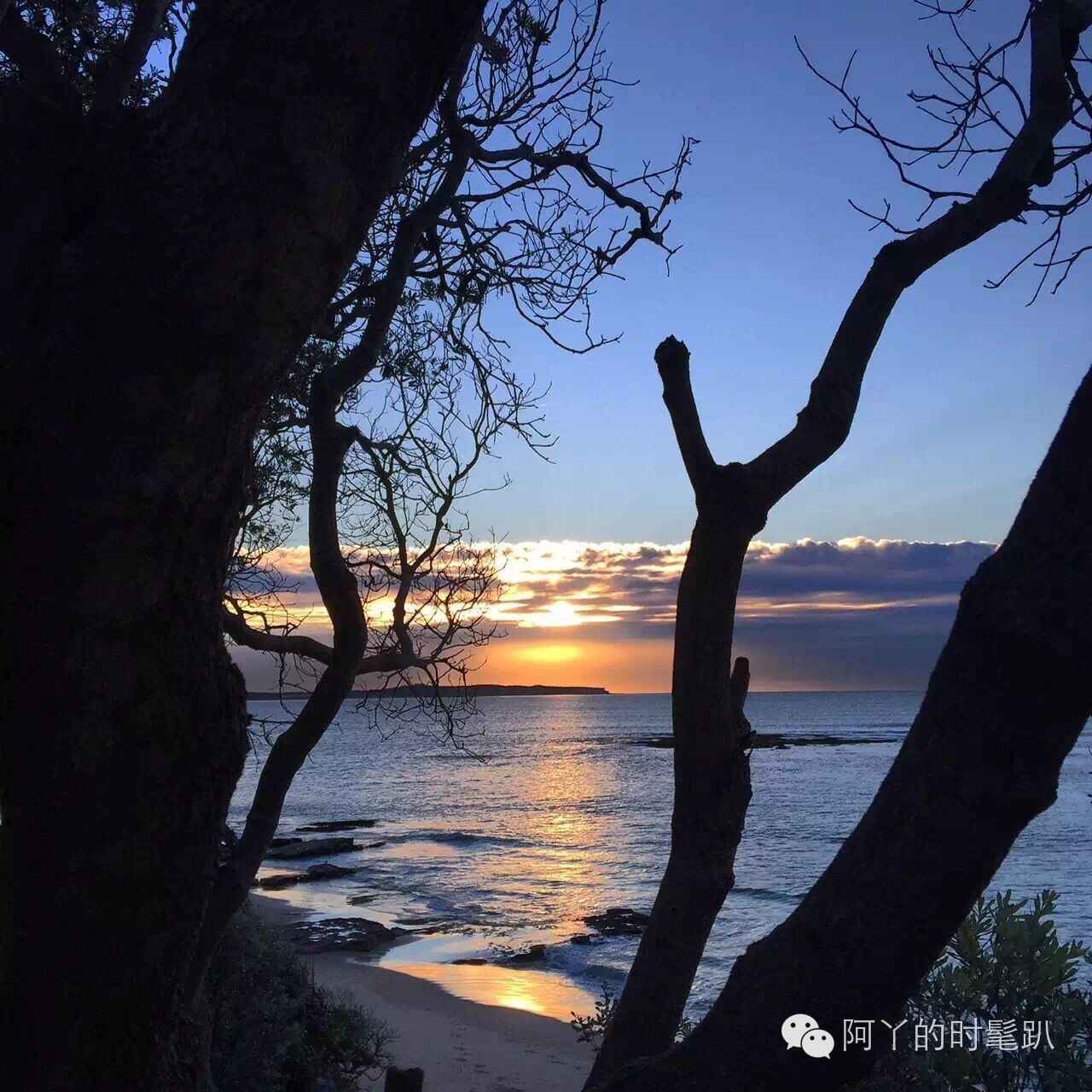 比起她的“黑白灰”，我更爱安迪帅爆了的跑步行头