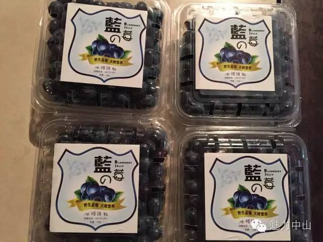来芒市撒野‖咂蓝莓啖杨梅“二Mei”齐登场