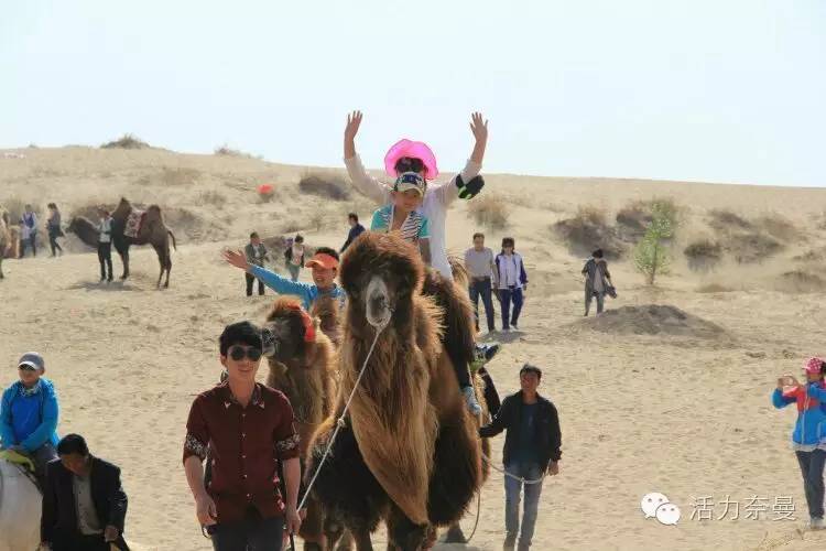 通辽奈曼宝古图沙漠,奈曼旗宝古图沙漠旅游视频