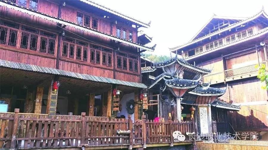 来稿我的大学生活比你多了道风景