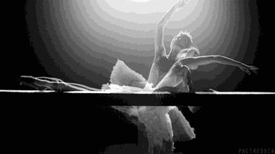 规定动作与自选动作的区别,规定动作自选动作还有什么动作