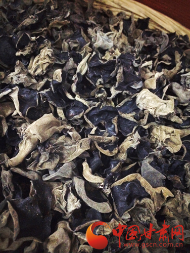 来一场说走就走的旅行第一站陇南,身未动心已远演唱