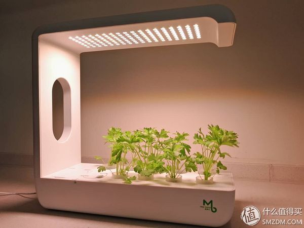 我的秘密菜园,我的秘密小菜地