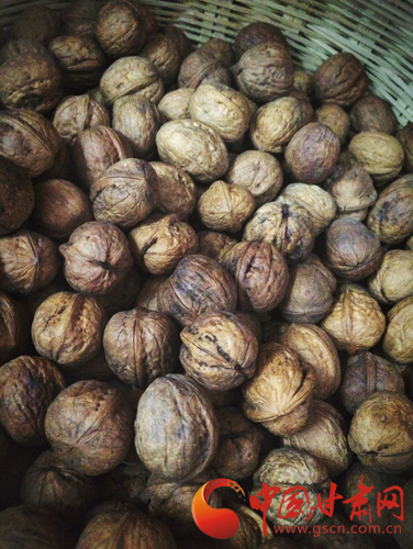 来一场说走就走的旅行第一站陇南,身未动心已远演唱