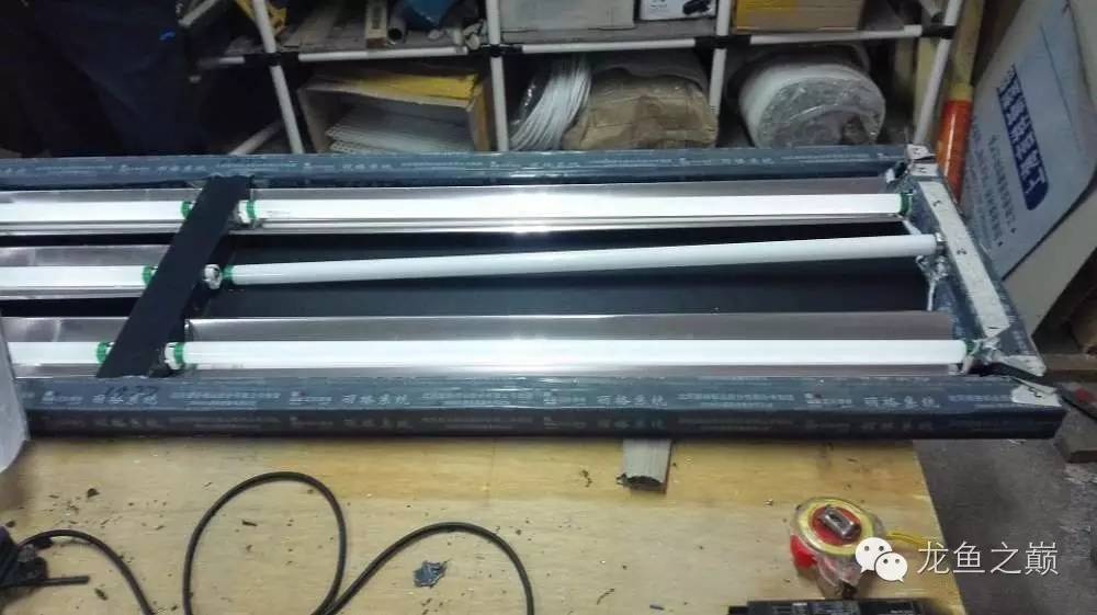 超级白，超会做，这才叫养鱼！