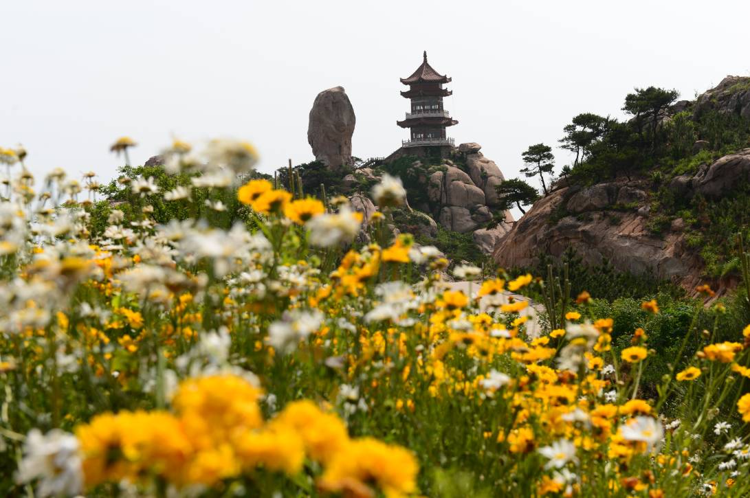 夏至未至里的美景,夏至未至不同感受
