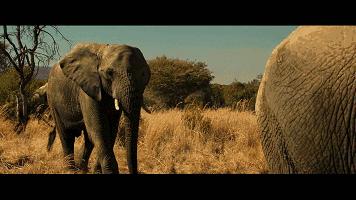 捂脸上车，这片子简直污力滔天！