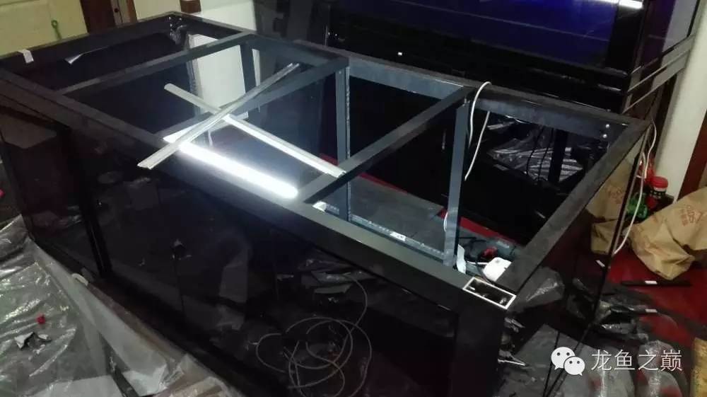 超级白，超会做，这才叫养鱼！