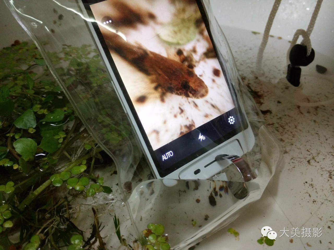 手机摄影作品,手机摄影和相机摄影作品