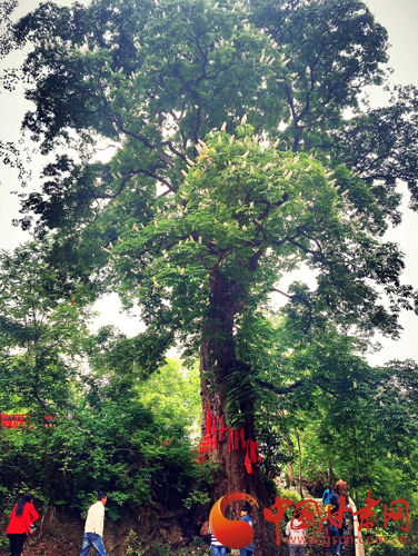 来一场说走就走的旅行第一站陇南,身未动心已远演唱