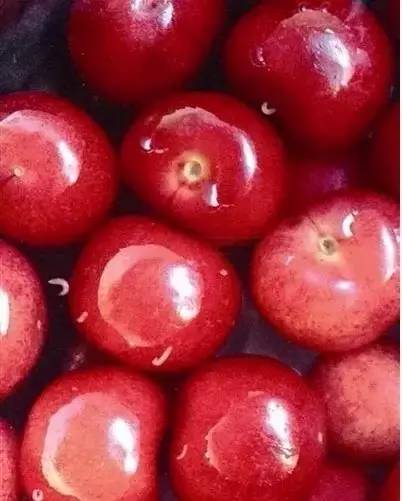 会存在小白虫的水果都有哪些,什么水果里面有小白虫