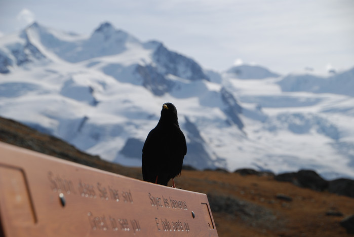 瑞士十日深度自驾游之六,湖光山色瑞士旅游