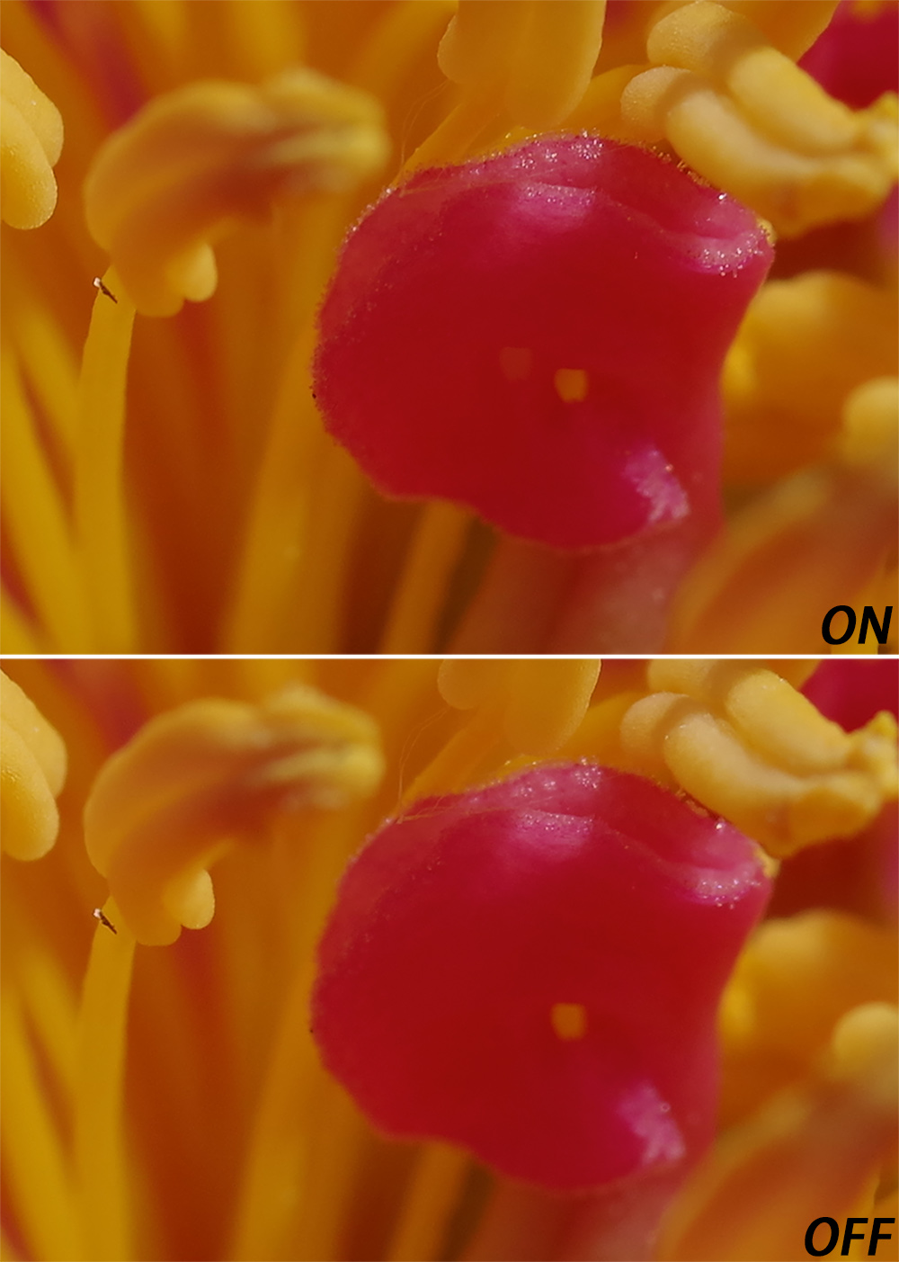 宾得k-01是全画幅吗,宾得全画幅镜头100-3000