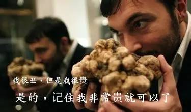 如果感到抑郁你就磕个菇！