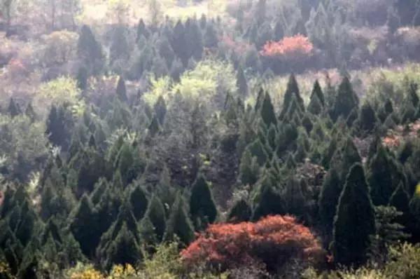 北京各区16处免费森林公园,森林公园北京有几个