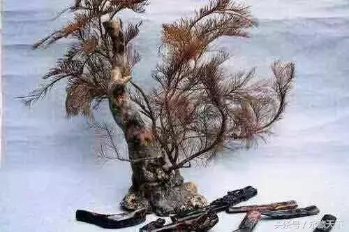 娴锋磱婊嬪吇,娴锋煶鍜岀牀纾插摢涓ソ