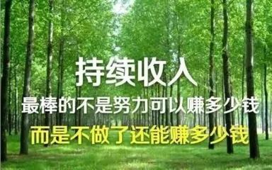 成为外汇交易员难不难,成为投资高手怎么学