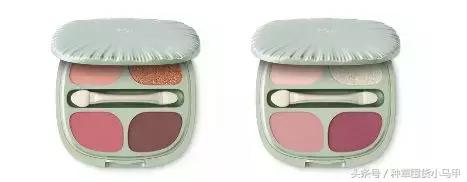 kiko倒闭了吗,kiko破产事件