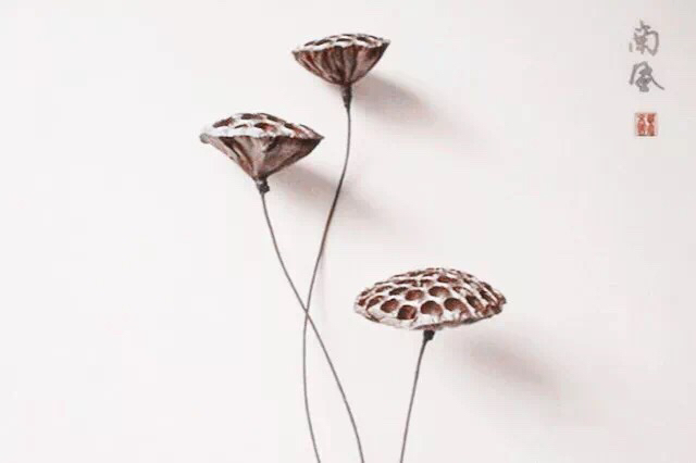 转载佛弟子睡觉大有讲究