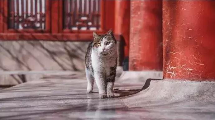 鏁呭18鍙尗,鏁呭鍚哥尗181鍙尗