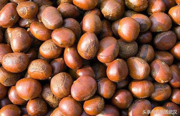 武汉春游两日游攻略大全,武汉春游适合去哪里玩