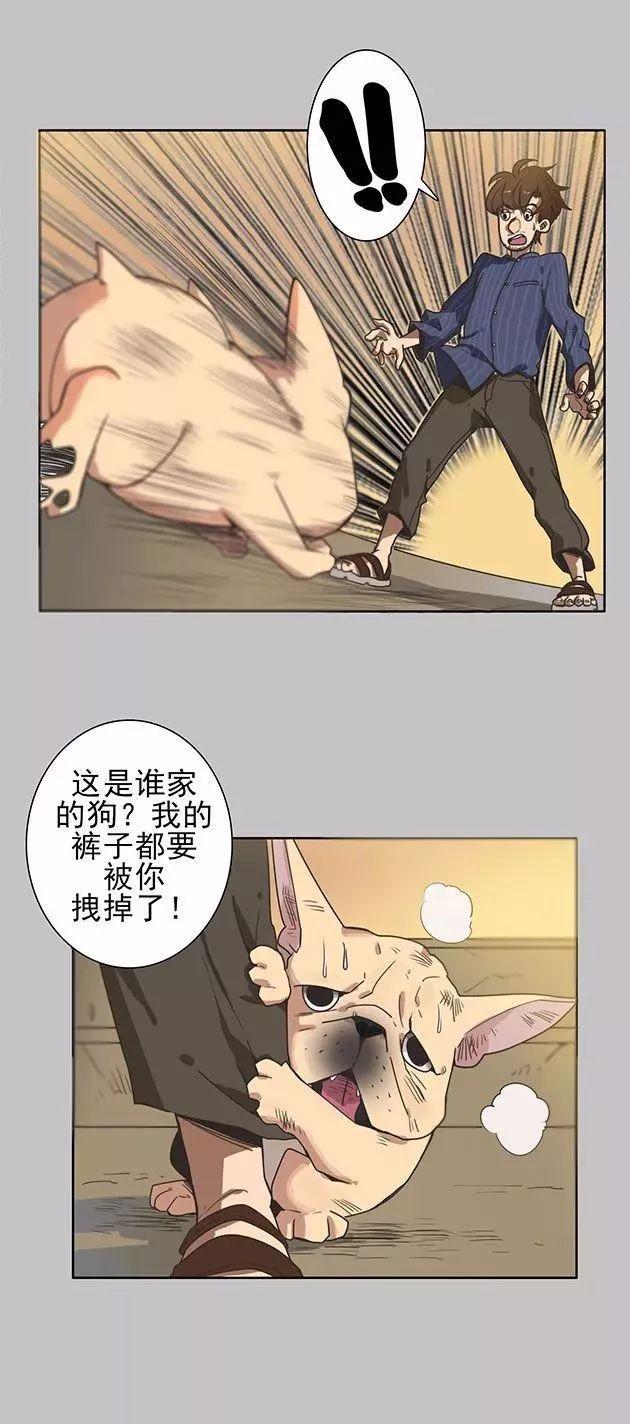 猫和铲屎官的日常生活漫画,铲屎官的搞笑漫画