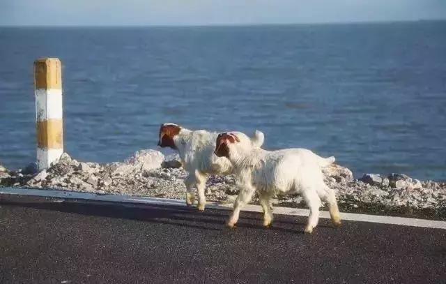 合肥周边自驾游一日游景点大全,合肥到六安一日游最佳去处深秋