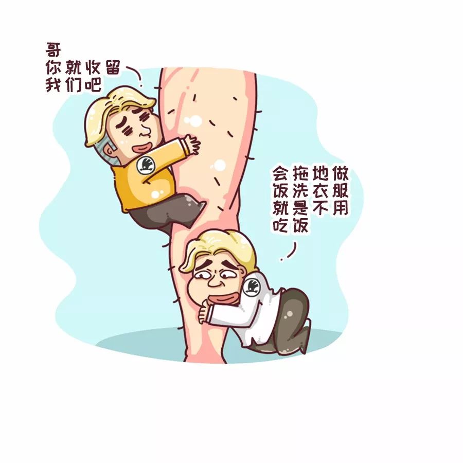 斯柯达是个什么牌子,斯柯达柯米克音响是什么品牌