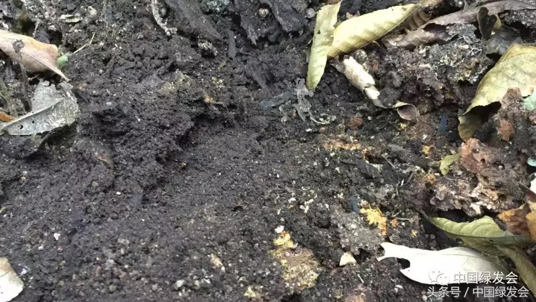 绿会中华保护地,绿会保护地