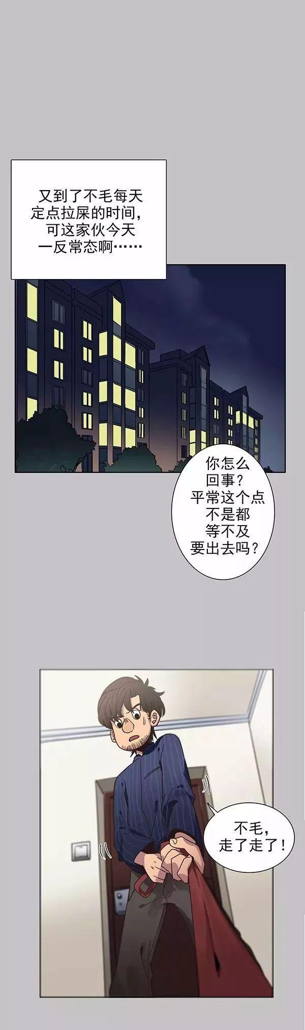 猫和铲屎官的日常生活漫画,铲屎官的搞笑漫画