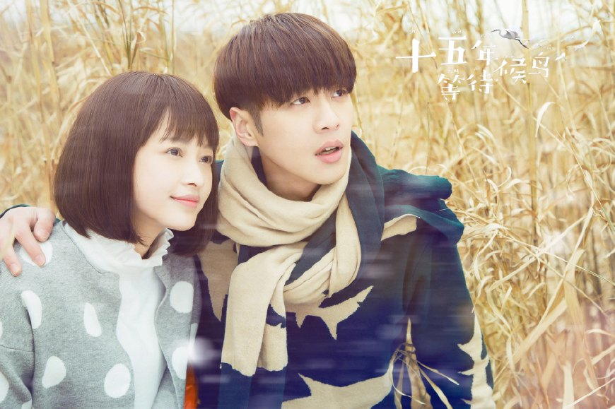 孙怡演的哪些好看的电视剧,孙怡演过的电视剧大全