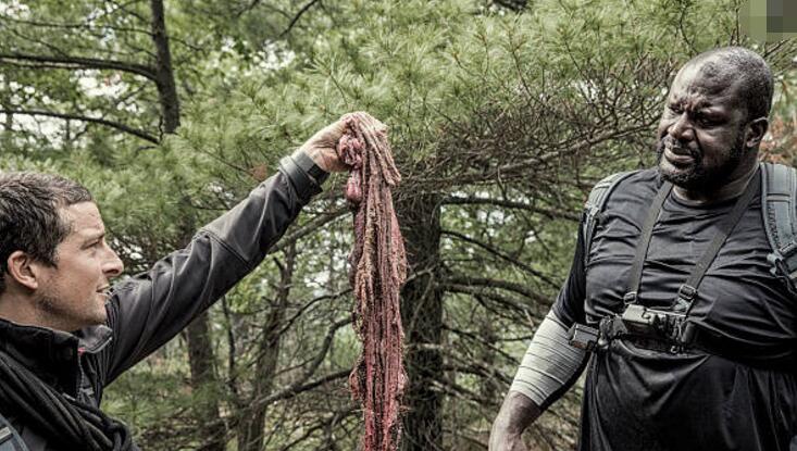 胎盘孕妇能吃吗有什么作用,孕妇胎盘吃了有什么作用吗