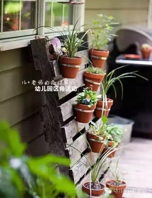 幼儿园春天植物角摆台,幼儿园植物角创意布置图片大全集