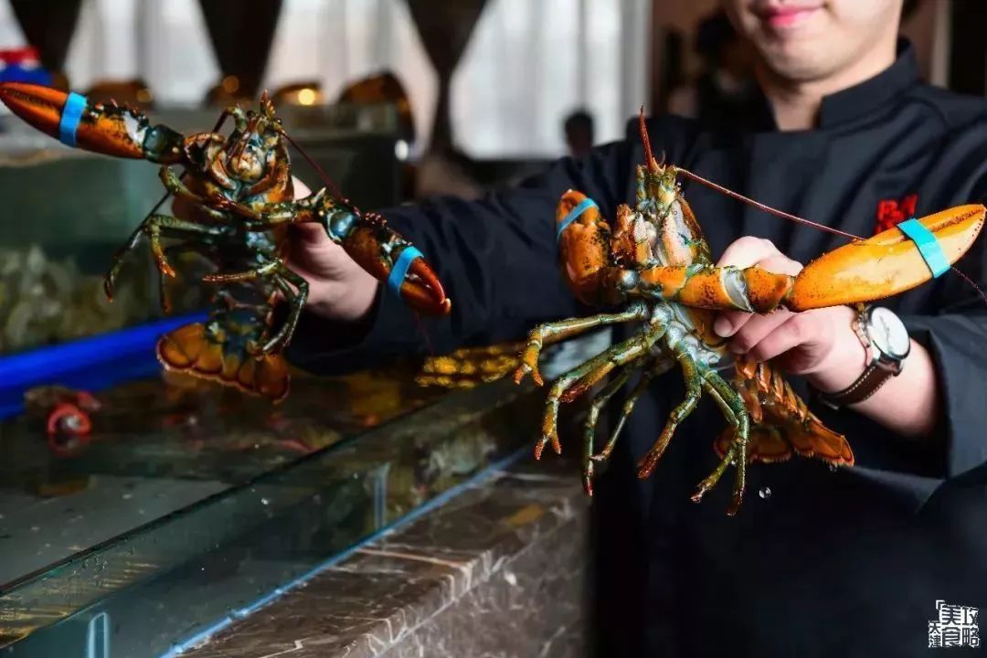 天津高档海鲜自助波龙帝王蟹,海鲜自助天津帝王蟹