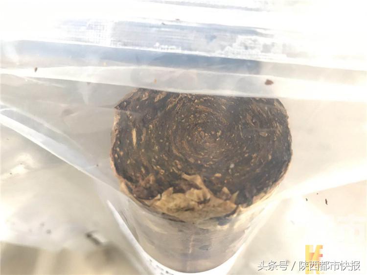 男子从国外网购烟叶 入境陕西被查扣