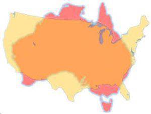 亚马逊和阿里巴巴跨境电商对比,阿里和亚马逊谁能赢