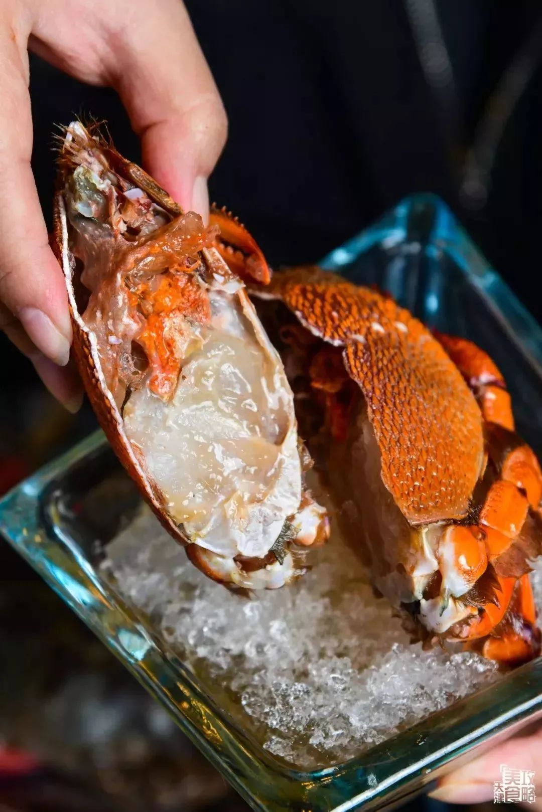 天津高档海鲜自助波龙帝王蟹,海鲜自助天津帝王蟹