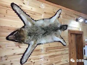 贝加尔湖寻游记,贝加尔湖的清晨和贝加尔湖畔