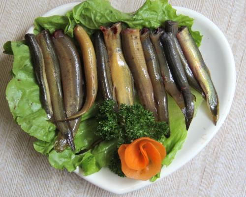 泥鳅养殖前景和现状,泥鳅市场与前景