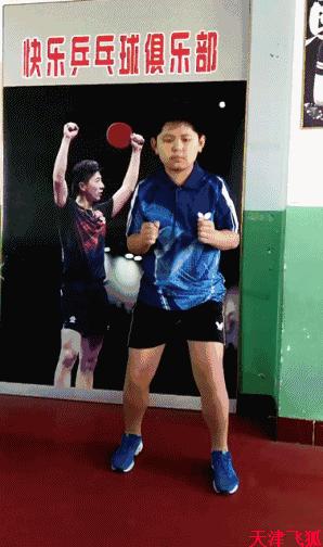 乒乓球系统训练计划明细表,乒乓球基础教练教学书籍