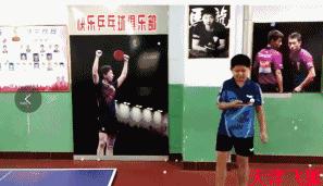 乒乓球系统训练计划明细表,乒乓球基础教练教学书籍