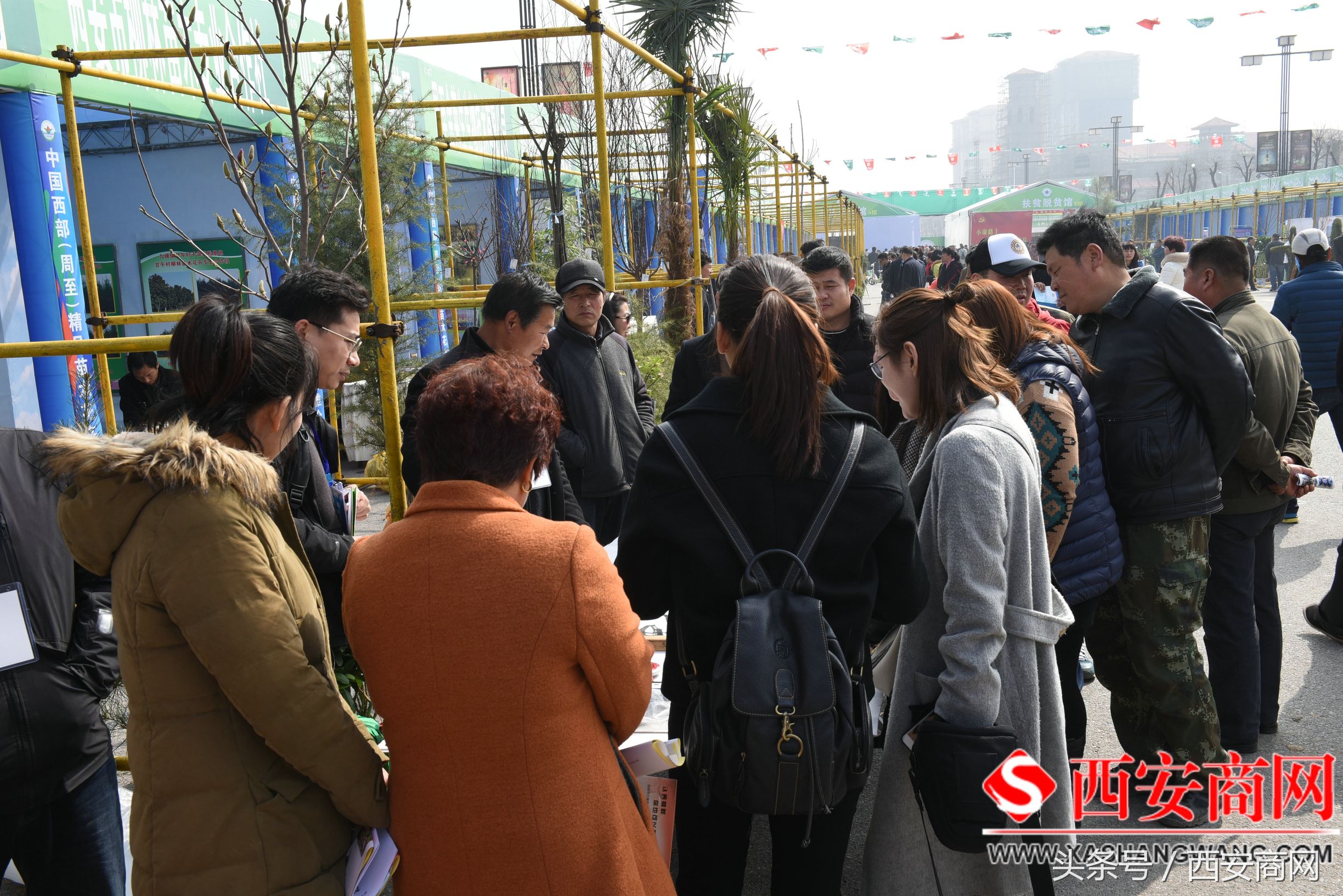 2024年周至苗木交易平台,苗木花卉销售合同书